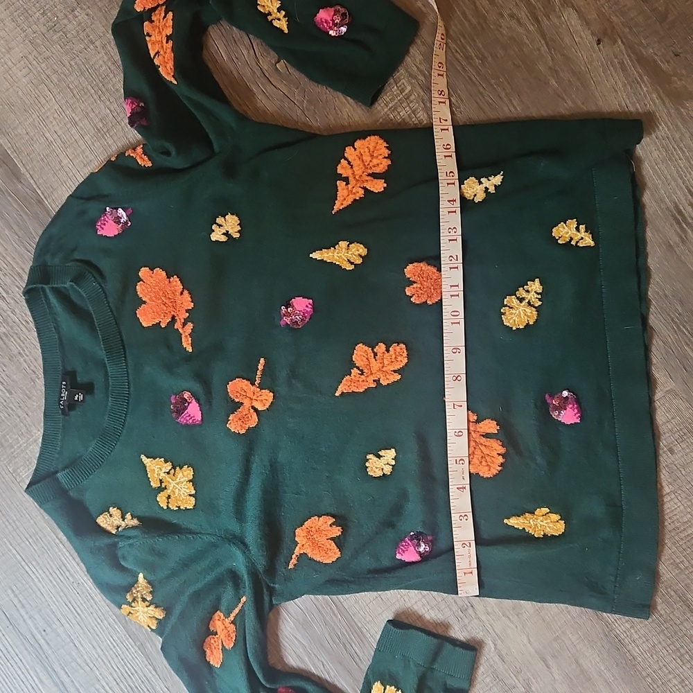 Talbots Fall Sweater - Picture 7 of 10